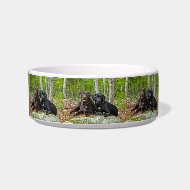 Dogs Puppies Black Lab Chocolate Labrador Retrieve Bowl (Left)