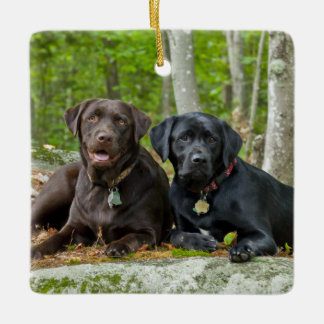 Dogs Puppies Black Lab Chocolate Labrador Retrieve Ceramic Tree Decoration