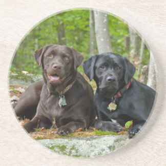 Dogs Puppies Black Lab Chocolate Labrador Retrieve Coaster