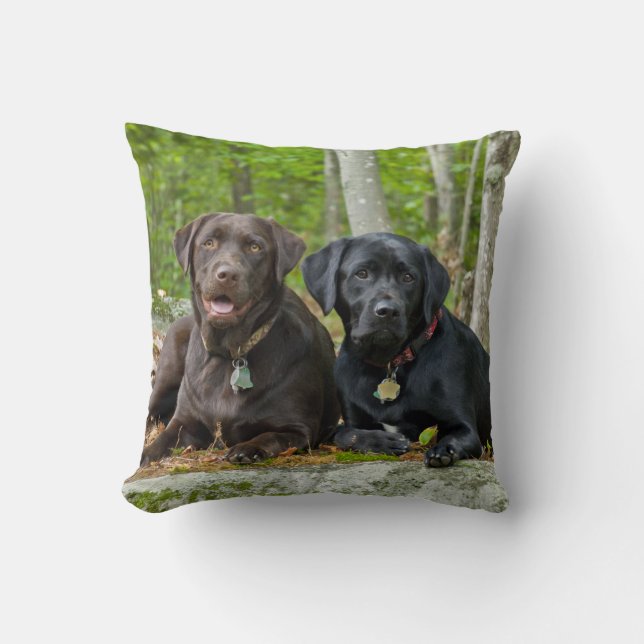 Dogs Puppies Black Lab Chocolate Labrador Retrieve Cushion (Front)