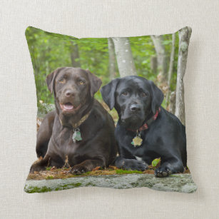 Dogs Puppies Black Lab Chocolate Labrador Retrieve Cushion