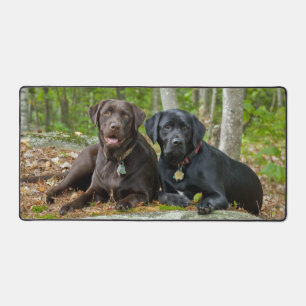 Dogs Puppies Black Lab Chocolate Labrador Retrieve Desk Mat