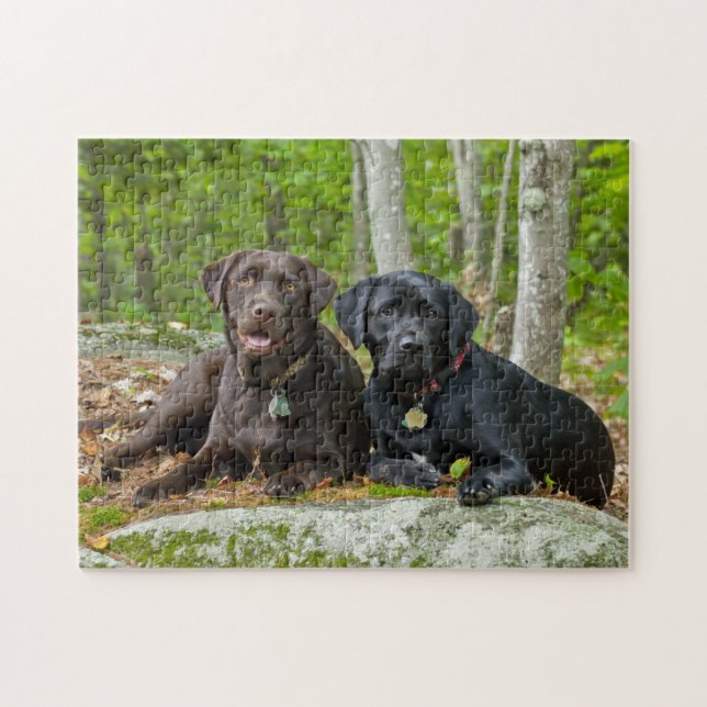 Dogs Puppies Black Lab Chocolate Labrador Retrieve Jigsaw Puzzle (Horizontal)