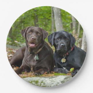 Dogs Puppies Black Lab Chocolate Labrador Retrieve Paper Plate