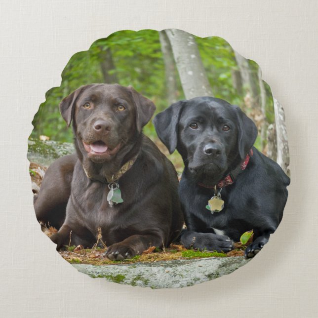 Dogs Puppies Black Lab Chocolate Labrador Retrieve Round Cushion (Front)