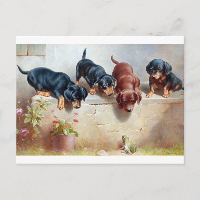 Dogs Puppies Frog Vintage Illustration Postcard (Front)