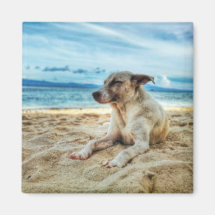 Dog's Relaxing Day at the Beach, Ocean Sand & Sun Magnet