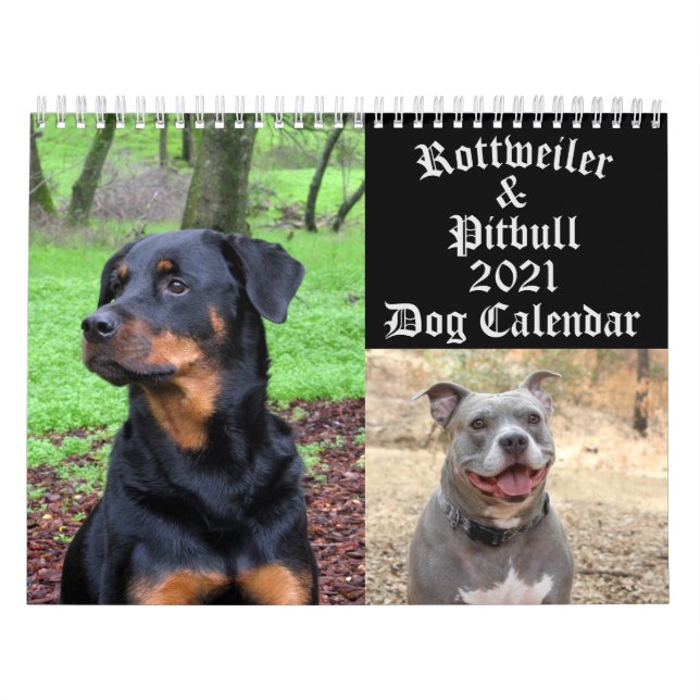 Dogs Rottweiler and Pitbull Dog Calendar (Cover)