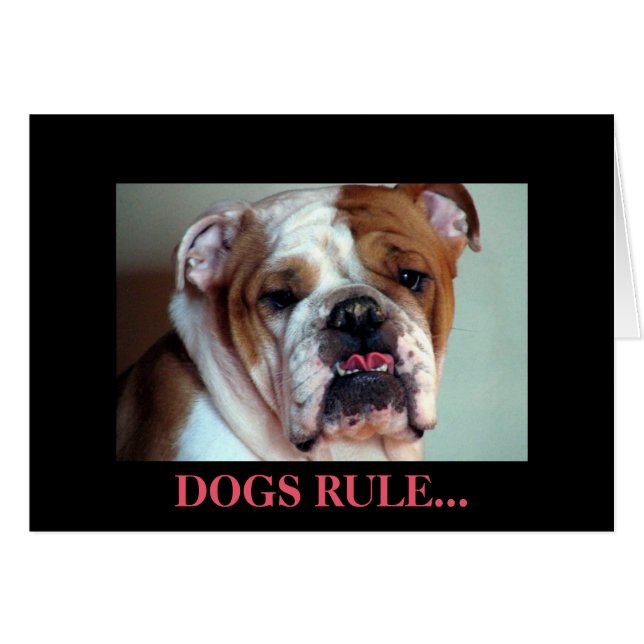 Dogs rule. (Front Horizontal)