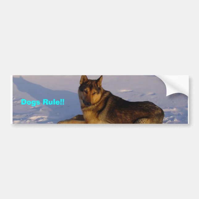 Dogs Rule!! Bumper Sticker (Front)