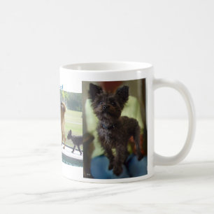 Dogs Rule Mug