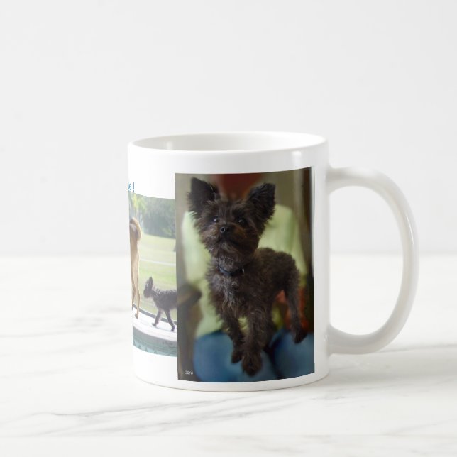 Dogs Rule Mug (Right)