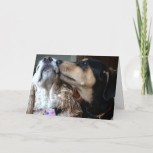 DOGS SAY TRUE LOVE-ALL YOU NEED-HAPPY ANNIVERSARY CARD