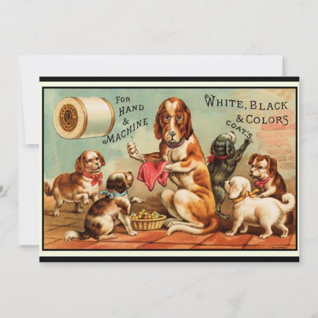Dogs Sewing Postcard (Front)