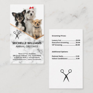 Dogs Sitting   Groomer Business Card