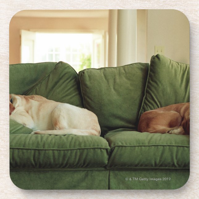 Dogs sleeping on sofa coaster (Front)