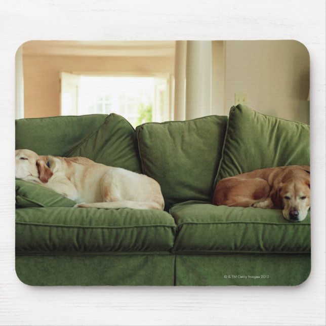 Dogs sleeping on sofa mouse mat (Front)
