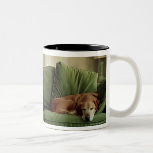 Dogs sleeping on sofa Two-Tone coffee mug