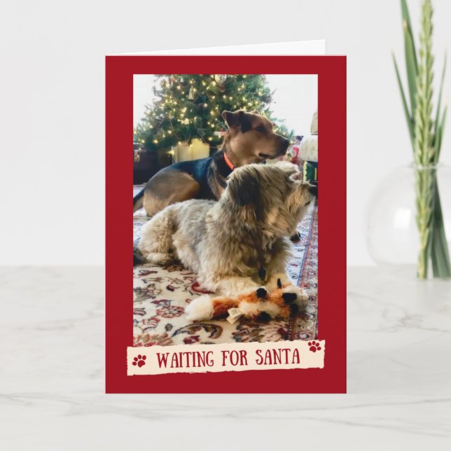 Dogs Waiting for Santa Cute Christmas Card (Front)