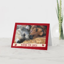 Dogs Waiting For Santa - Funny Card from the Dogs