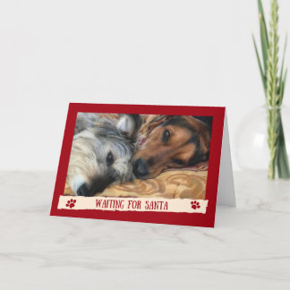 Dogs Waiting For Santa - Funny Card from the Dogs