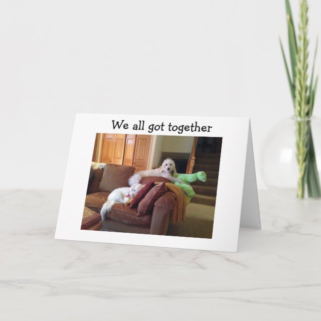 DOGS WATCHING CRAZY CATS MOVIE SAY HAPPY BIRTHDAY CARD (Front)