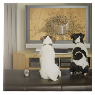 Dogs watching dog dish with food on TV Tile