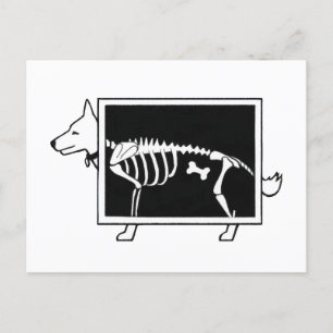 Dog's X-Ray Postcard