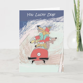 Dogsled - birthday card