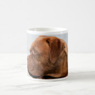 dogue-de-bordeaux-2.png coffee mug