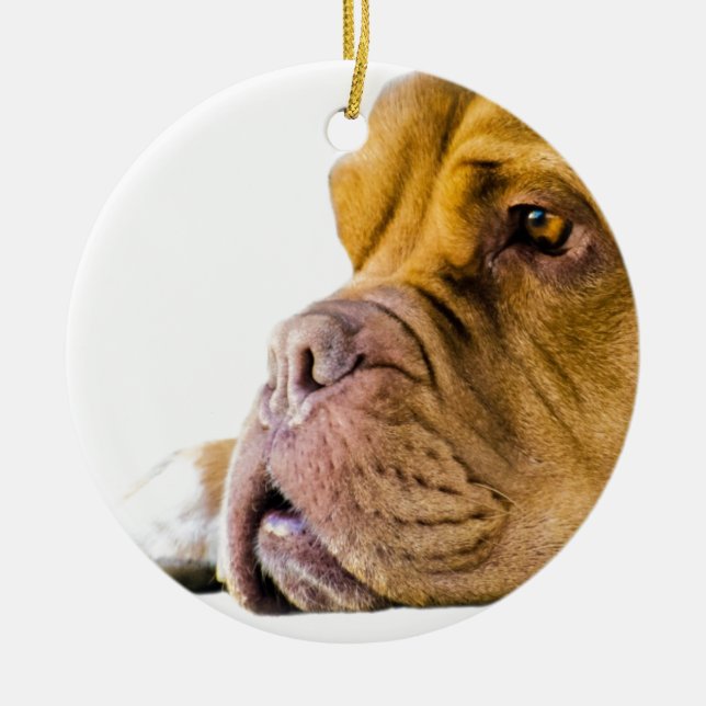 Dogue de Bordeaux Ceramic Tree Decoration (Front)
