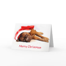 Dogue de Bordeaux Christmas Card