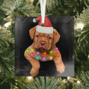 dogue de bordeaux christmas decor for dog lovers p glass tree decoration