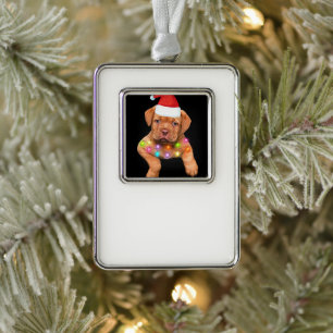 dogue de bordeaux christmas decor for dog lovers p silver plated framed ornament