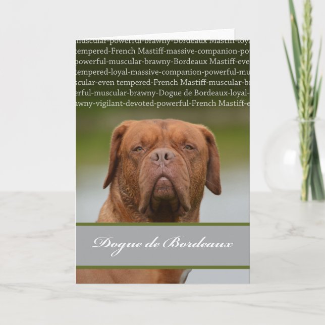 Dogue de Bordeaux, Dog Breed Description Holiday Card (Front)