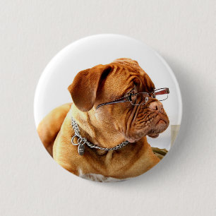 dogue de bordeaux dog wearing glasses 6 cm round badge