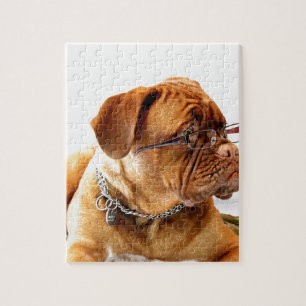 dogue de bordeaux dog wearing glasses jigsaw puzzle
