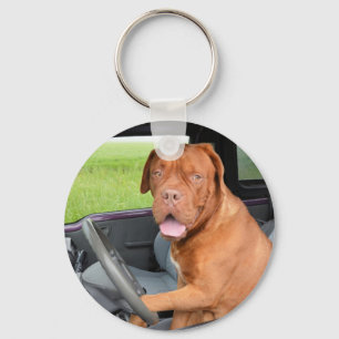 Dogue de Bordeaux driving Key Ring