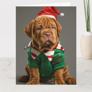 Dogue de Bordeaux Elf Puppy Christmas Card