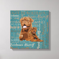 Dogue de Bordeaux - French Mastiff