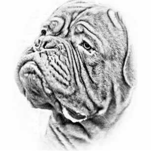 Dogue De Bordeaux - French Mastiff Photo Sculpture Key Ring