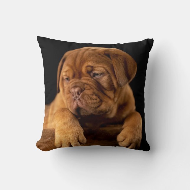 Dogue de Bordeaux - French Mastiff Puppy Dog Cushion (Front)