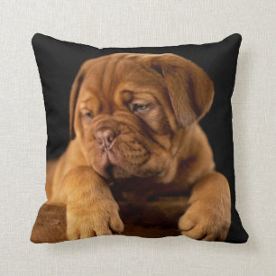Dogue de Bordeaux - French Mastiff Puppy Dog Cushion