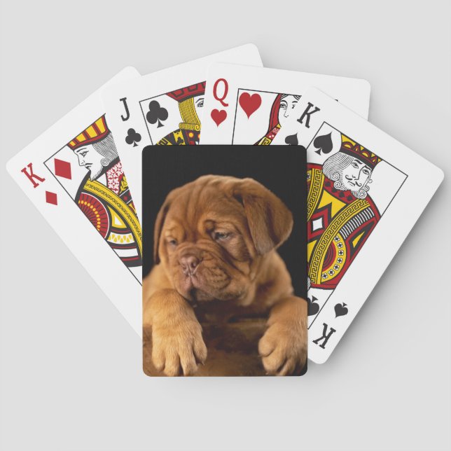 Dogue de Bordeaux - French Mastiff Puppy Playing Cards (Back)