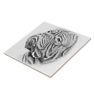 Dogue De Bordeaux - French Mastiff Tile