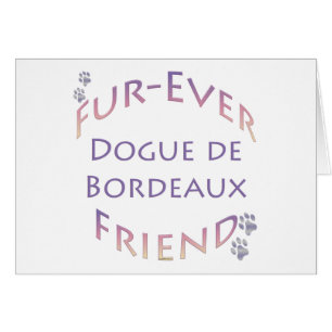 Dogue de Bordeaux Furever