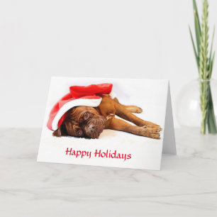 Dogue de Bordeaux Happy Holidays Card