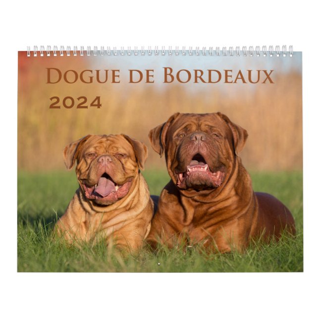 Dogue de Bordeaux Large Wall Calendar (Cover)