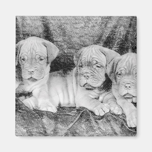 Dogue de bordeaux magnet (Front)