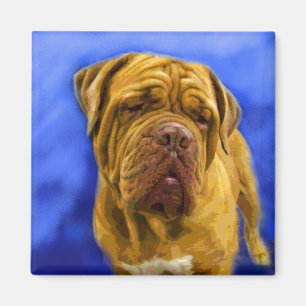Dogue de Bordeaux Magnets